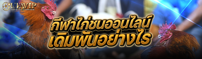 กีฬาไก่ชนออนไลน์ เดิมพันอย่างไร