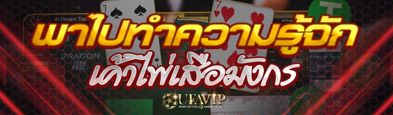 พาไปทำความรู้จักเค้าไพ่เสือมังกร