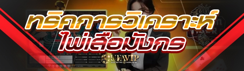 ทริคการวิเคราะห์ไพ่เสือมังกร