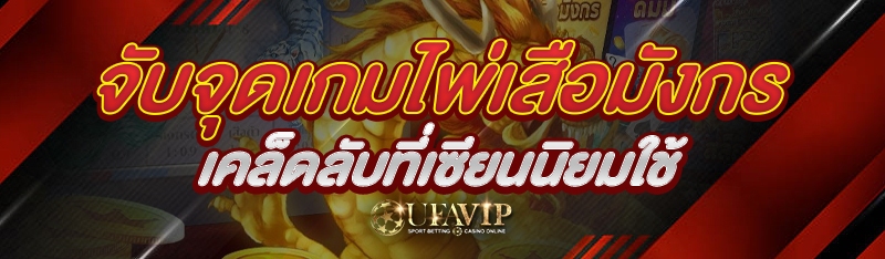 จับจุดเกมไพ่เสือมังกร เคล็ดลับที่เซียนนิยมใช้