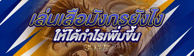 เล่นเสือมังกรยังไงให้ได้กำไรเพิ่มขึ้น